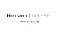 Nova Kaeru / beLEAF 