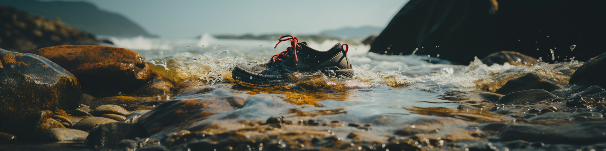 Shoe in water