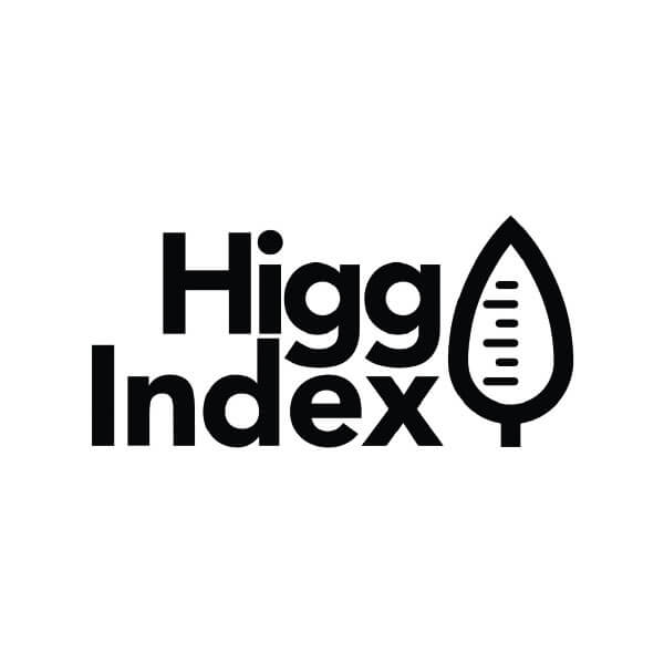 the higg index