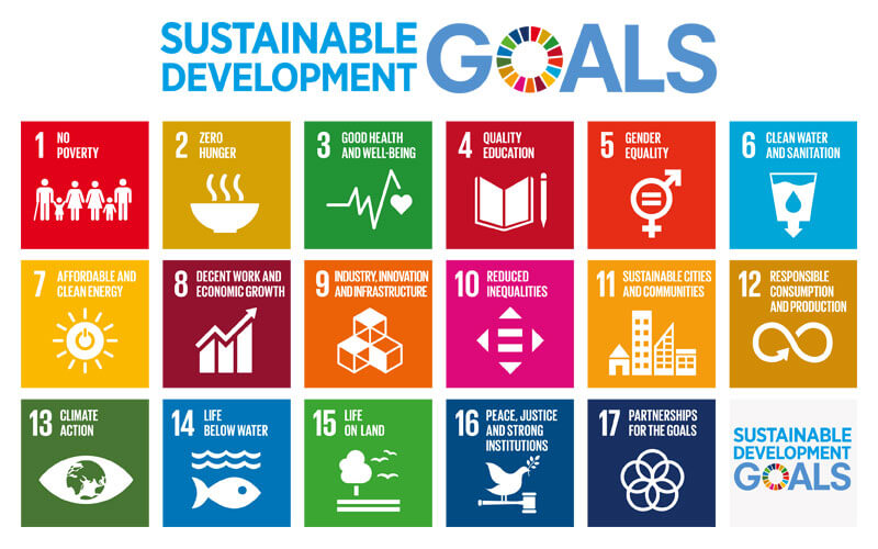The UN sustainable development goals (SDGs)